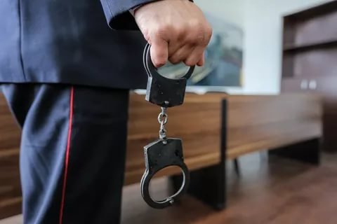 птица