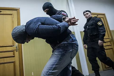 птица