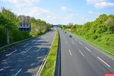 рыло