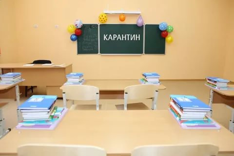 дыня