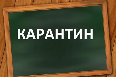 дыня