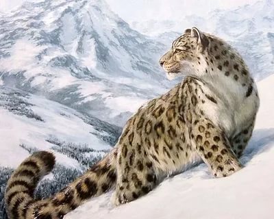 узор