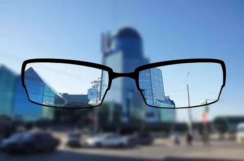 тюлень